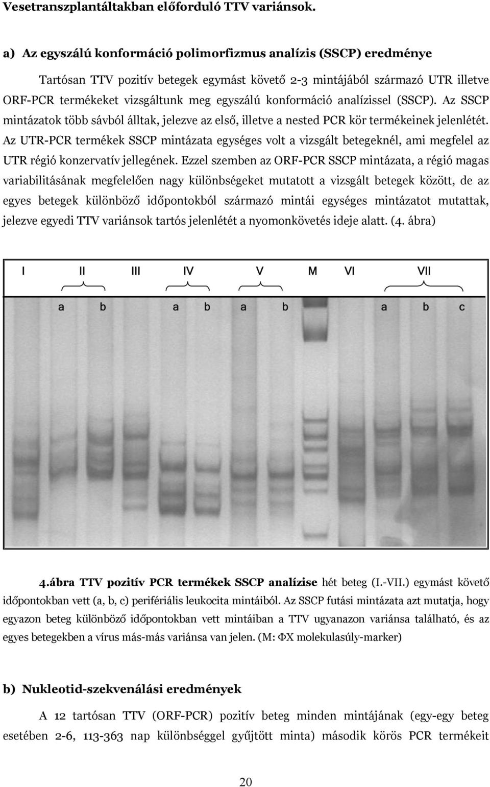 konformáció analízissel (SSCP). Az SSCP mintázatok több sávból álltak, jelezve az els, illetve a nested PCR kör termékeinek jelenlétét.