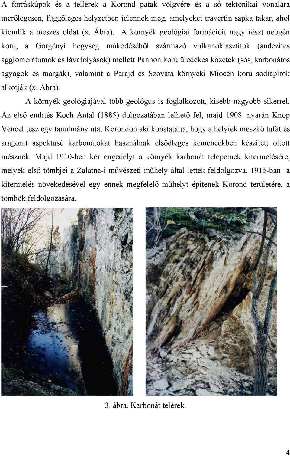 karbonátos agyagok és márgák), valamint a Parajd és Szováta környéki Miocén korú sódiapírok alkotják (x. Ábra). A környék geológiájával több geológus is foglalkozott, kisebb-nagyobb sikerrel.