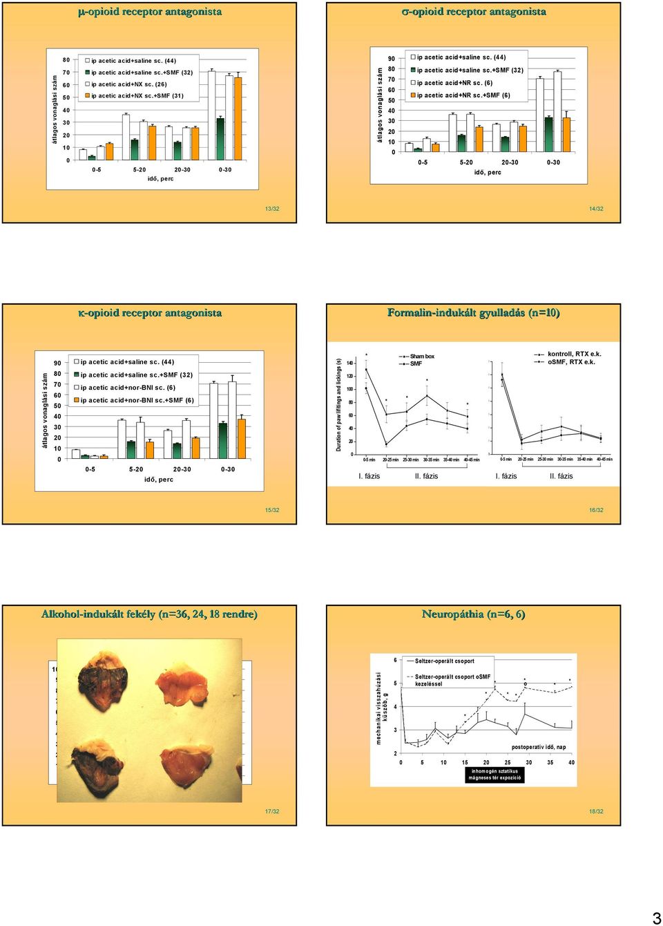 +smf (6) -5 5- -3-3 3/3 4/3 κ-opioid receptor antagonista Formalin-indukált indukált gyulladás (n=) 9 8 7 6 5 4 3 ip acetic acid+saline sc. (44) ip acetic acid+saline sc.