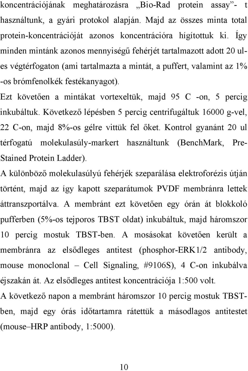 Ezt követően a mintákat vortexeltük, majd 95 C -on, 5 percig inkubáltuk. Következő lépésben 5 percig centrifugáltuk 16000 g-vel, 22 C-on, majd 8%-os gélre vittük fel őket.