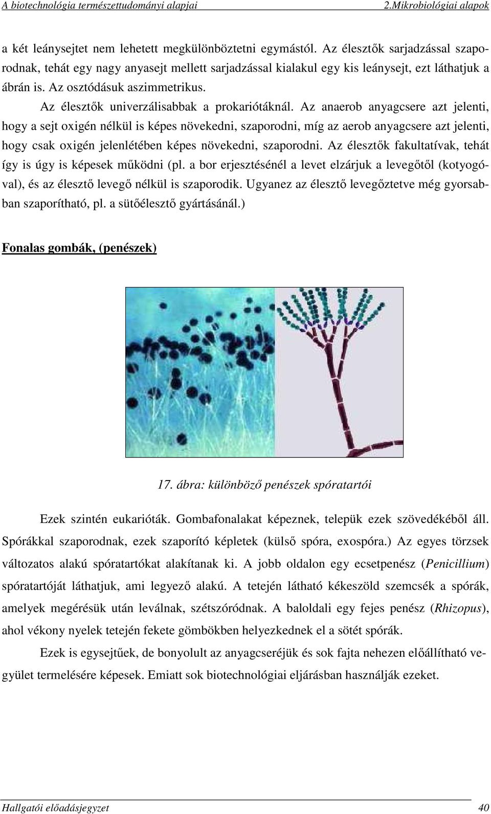 Az anaerob anyagcsere azt jelenti, hogy a sejt oxigén nélkül is képes növekedni, szaporodni, míg az aerob anyagcsere azt jelenti, hogy csak oxigén jelenlétében képes növekedni, szaporodni.