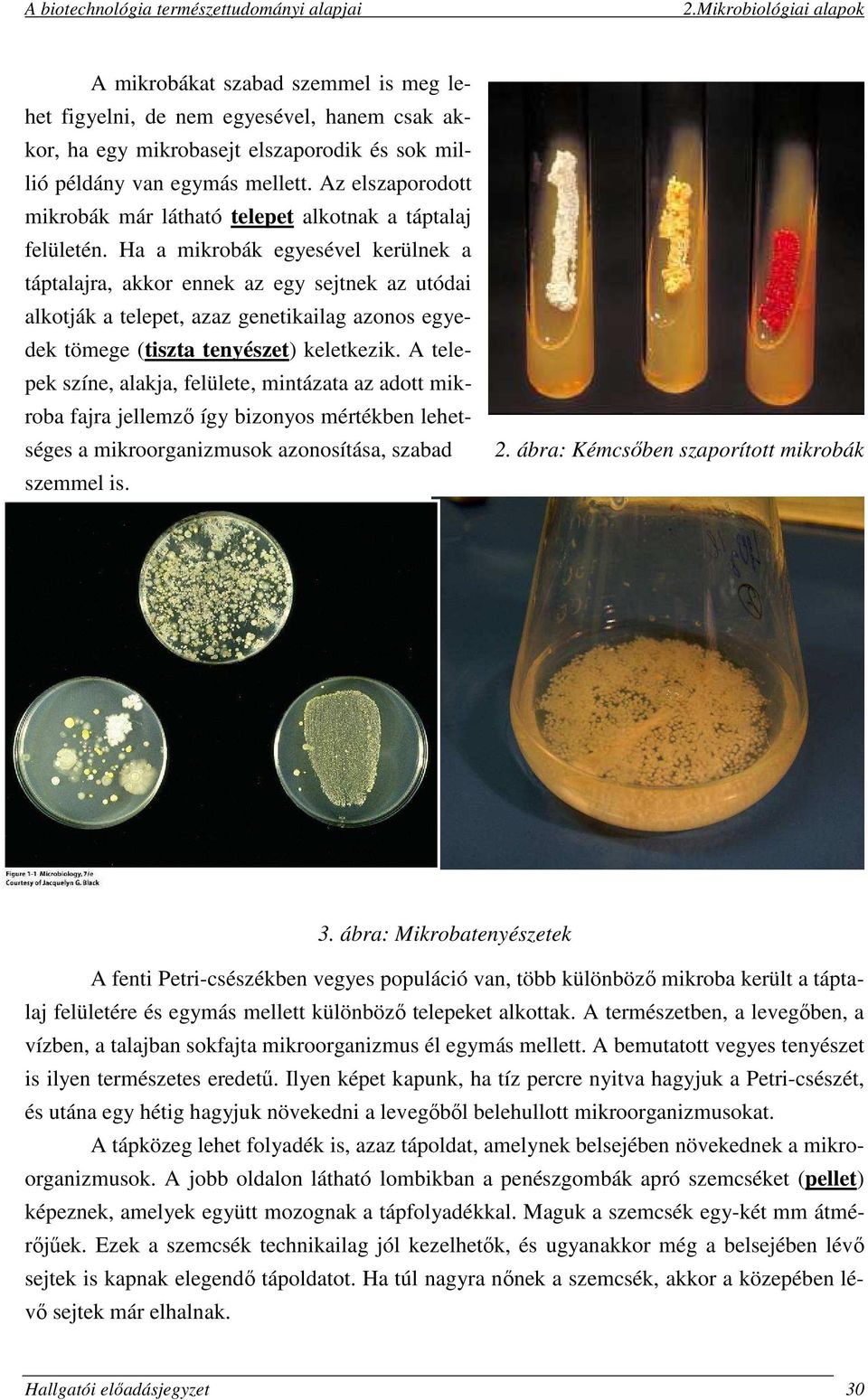 Ha a mikrobák egyesével kerülnek a táptalajra, akkor ennek az egy sejtnek az utódai alkotják a telepet, azaz genetikailag azonos egyedek tömege (tiszta tenyészet) keletkezik.