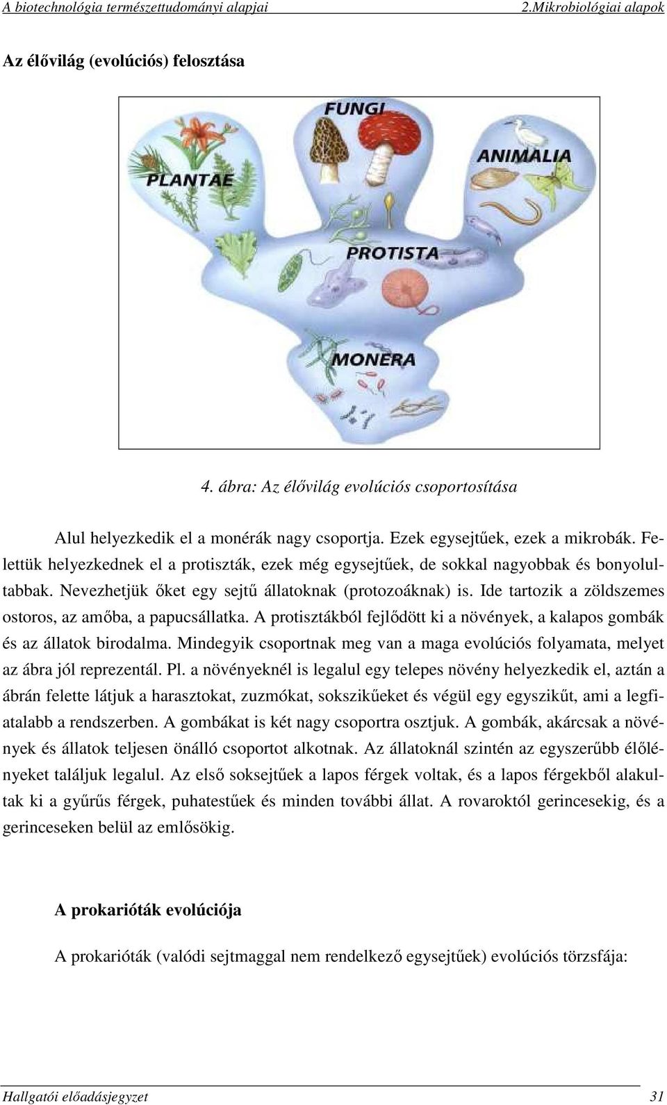 Ide tartozik a zöldszemes ostoros, az amőba, a papucsállatka. A protisztákból fejlődött ki a növények, a kalapos gombák és az állatok birodalma.