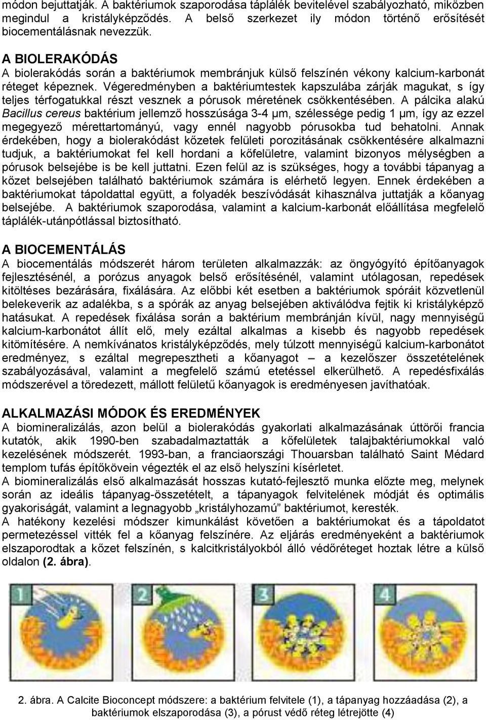 Végeredményben a baktériumtestek kapszulába zárják magukat, s így teljes térfogatukkal részt vesznek a pórusok méretének csökkentésében.