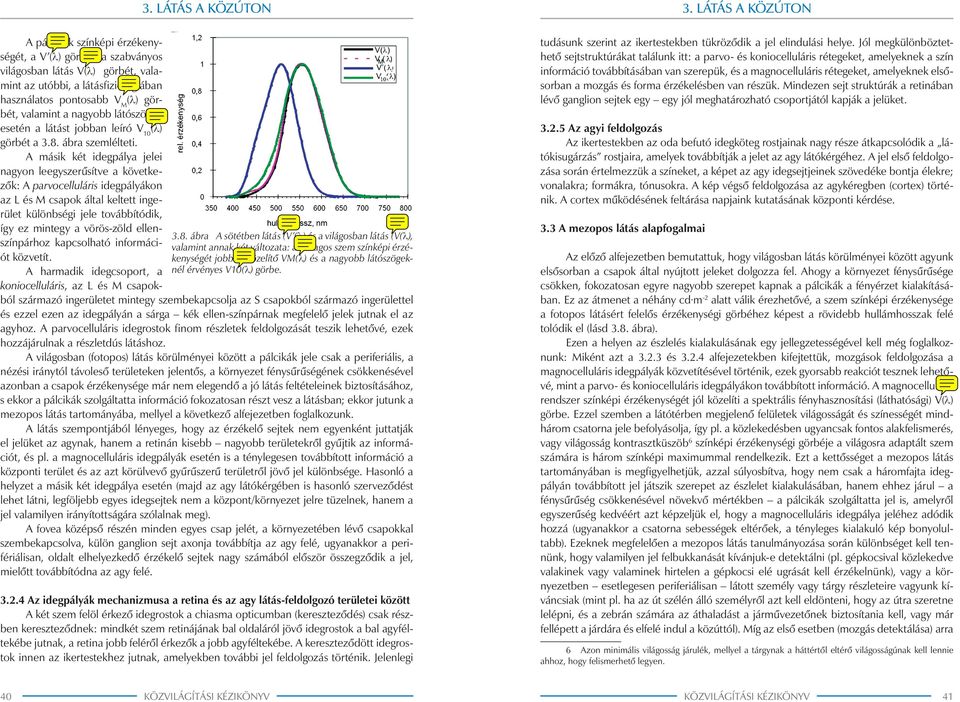 A pálcikák színképi érzékenységét, a V (l) görbét, a szabványos világosban látás V(l) görbét, valamint az utóbbi, a látásfiziológiában használatos pontosabb V M (l) görbét, valamint a nagyobb