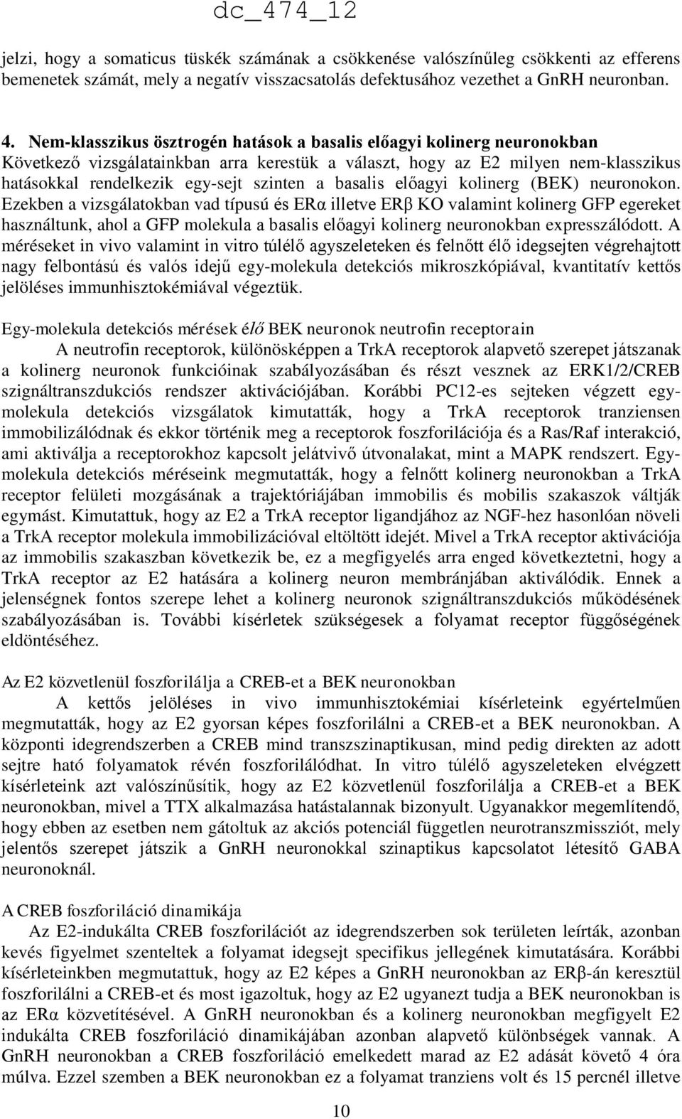 basalis előagyi kolinerg (BEK) neuronokon.