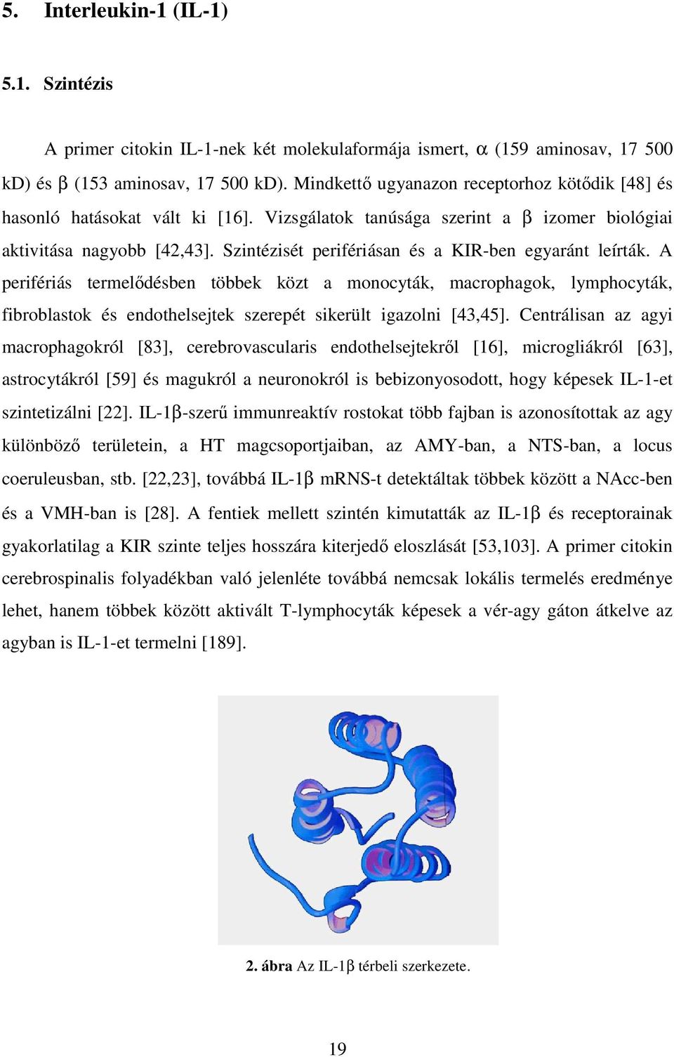 Szintézisét perifériásan és a KIR-ben egyaránt leírták. A perifériás termelıdésben többek közt a monocyták, macrophagok, lymphocyták, fibroblastok és endothelsejtek szerepét sikerült igazolni [43,45].