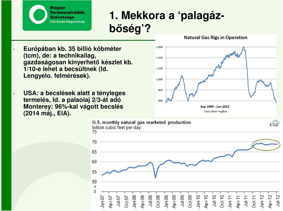 készlet kb. 1/10-e lehet a becsültnek (ld. Lengyelo. felmérések). 1. Mekkora a palagázbőség?