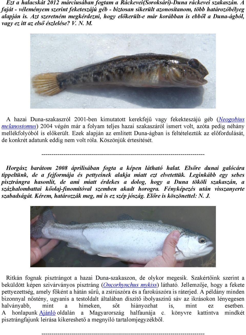 A hazai Duna-szakaszról 2001-ben kimutatott kerekfejű vagy fekekteszájú géb (Neogobius melanostomus) 2004 végén már a folyam teljes hazai szakaszáról ismert volt, azóta pedig néhány mellékfolyóból is