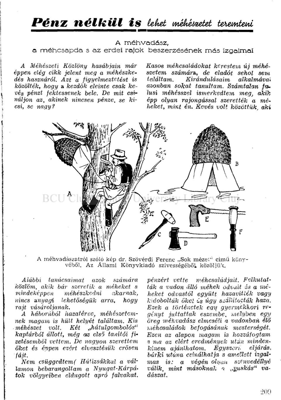 Kasos méhcsaládokat kerestem új méhészetem számára,, de eladót sehol sem találtam. Kirándulásaim alkalmával azonban sokat tanultam.