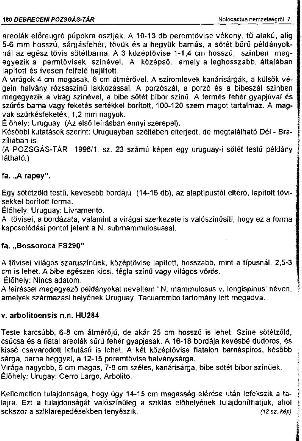 A 3 középtövise 1-1,4 cm hosszú, színben megegyezik a permtövisek színével. A középső, amely a leghosszabb, általában lapított és ívesen felfelé hajlított. A virágok 4 cm magasak, 6 cm átmérővel.