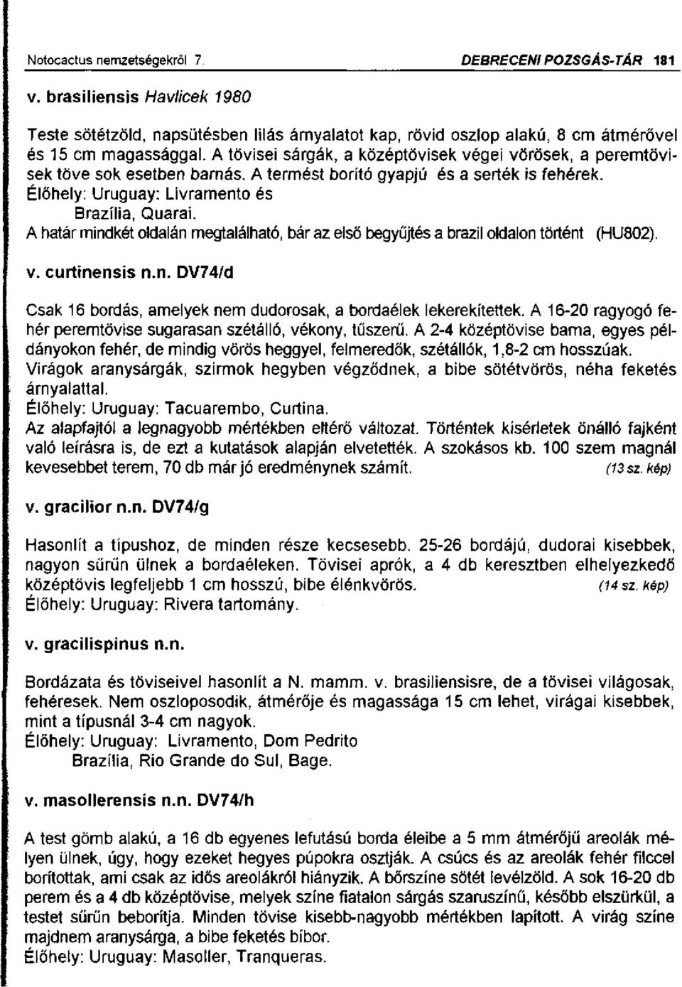 A határ mindkét oldalán megtalálható, bár az első begyűjtés a brazil oldalon történt (HU802). v. curtínensis n.n. DV74/d Csak 16 bordás, amelyek nem dudorosak, a bordaélek lekerekítettek.