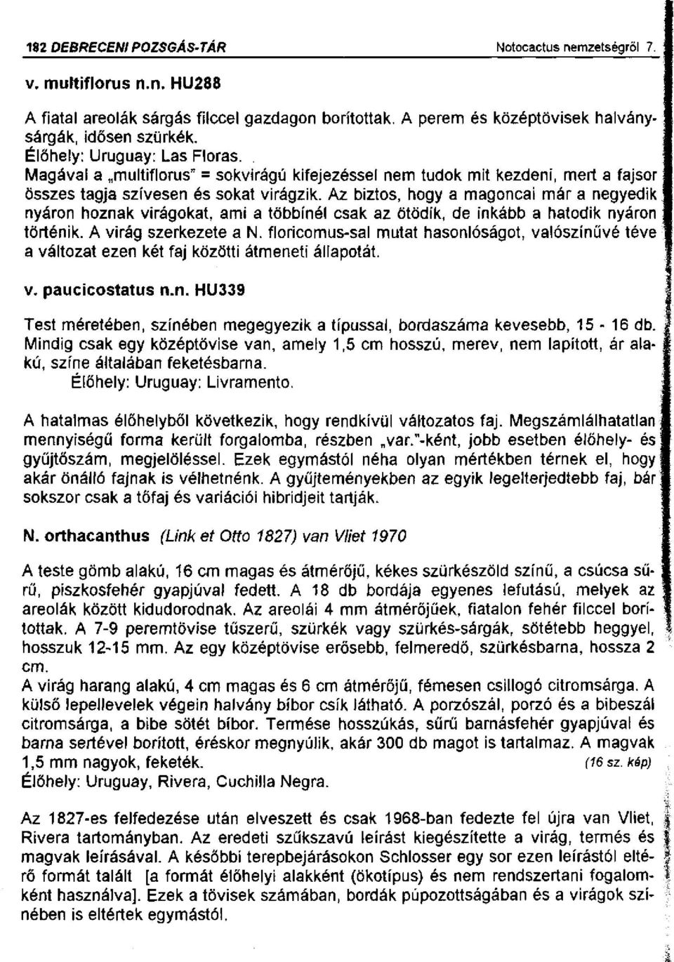 Az biztos, hogy a magoncai már a negyedik nyáron hoznak virágokat, ami a többínéi csak az ötödik, de inkább a hatodik nyáron történik. A virág szerkezete a N.