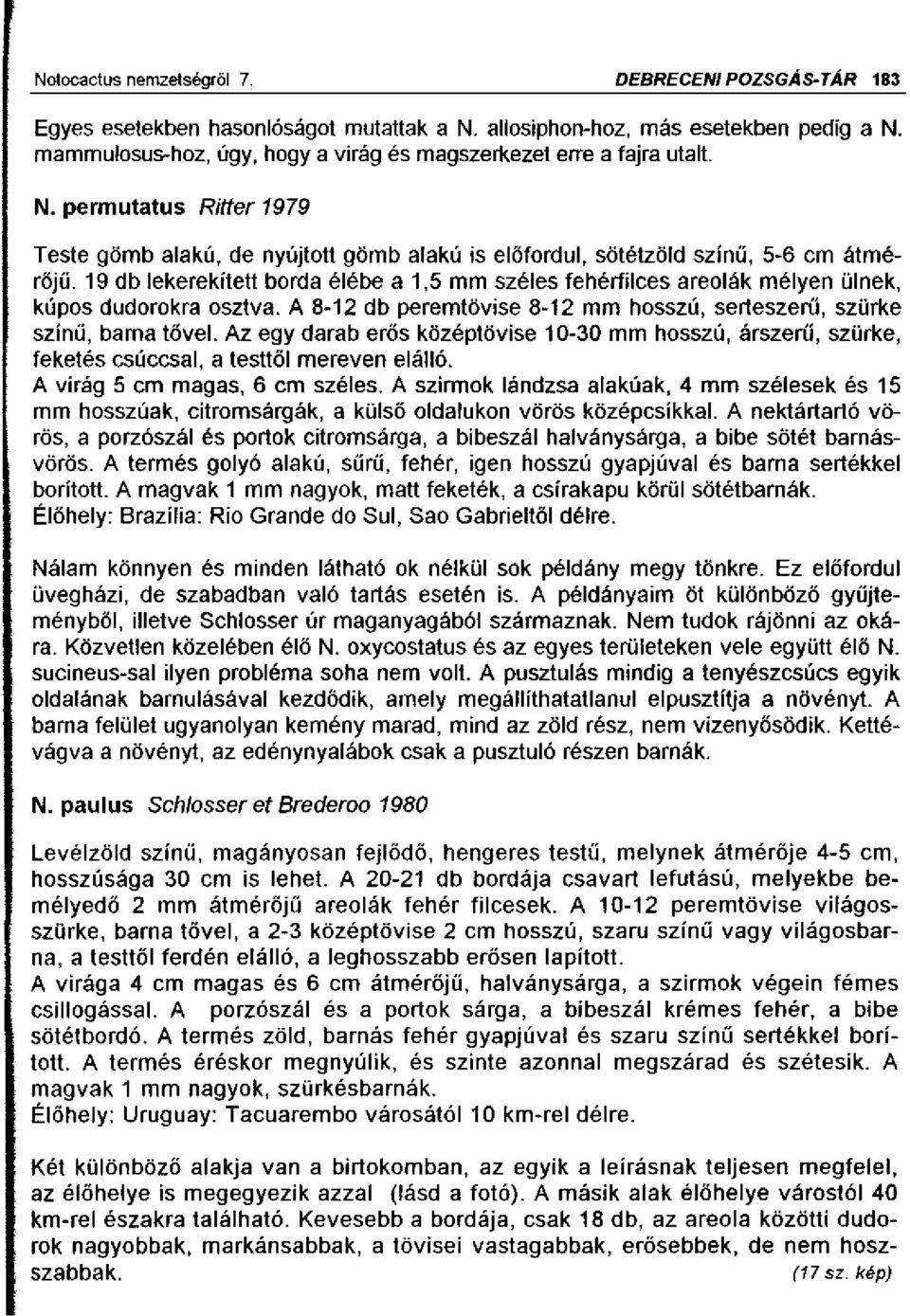 19 db lekerekített borda élébe a 1,5 mm széles fehérfilces areolák mélyen ülnek, kúpos dudorokra osztva. A 8-12 db peremtövise 8-12 mm hosszú, serleszerű, szürke színű, barna tővel.