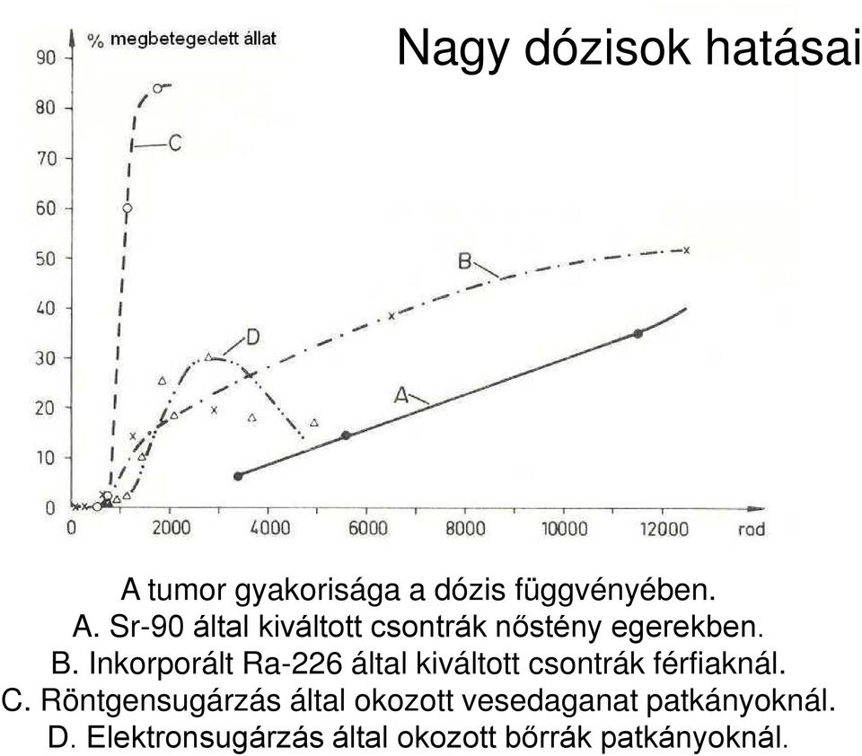 Sr-90 által kiváltott csontrák nőstény egerekben. B.