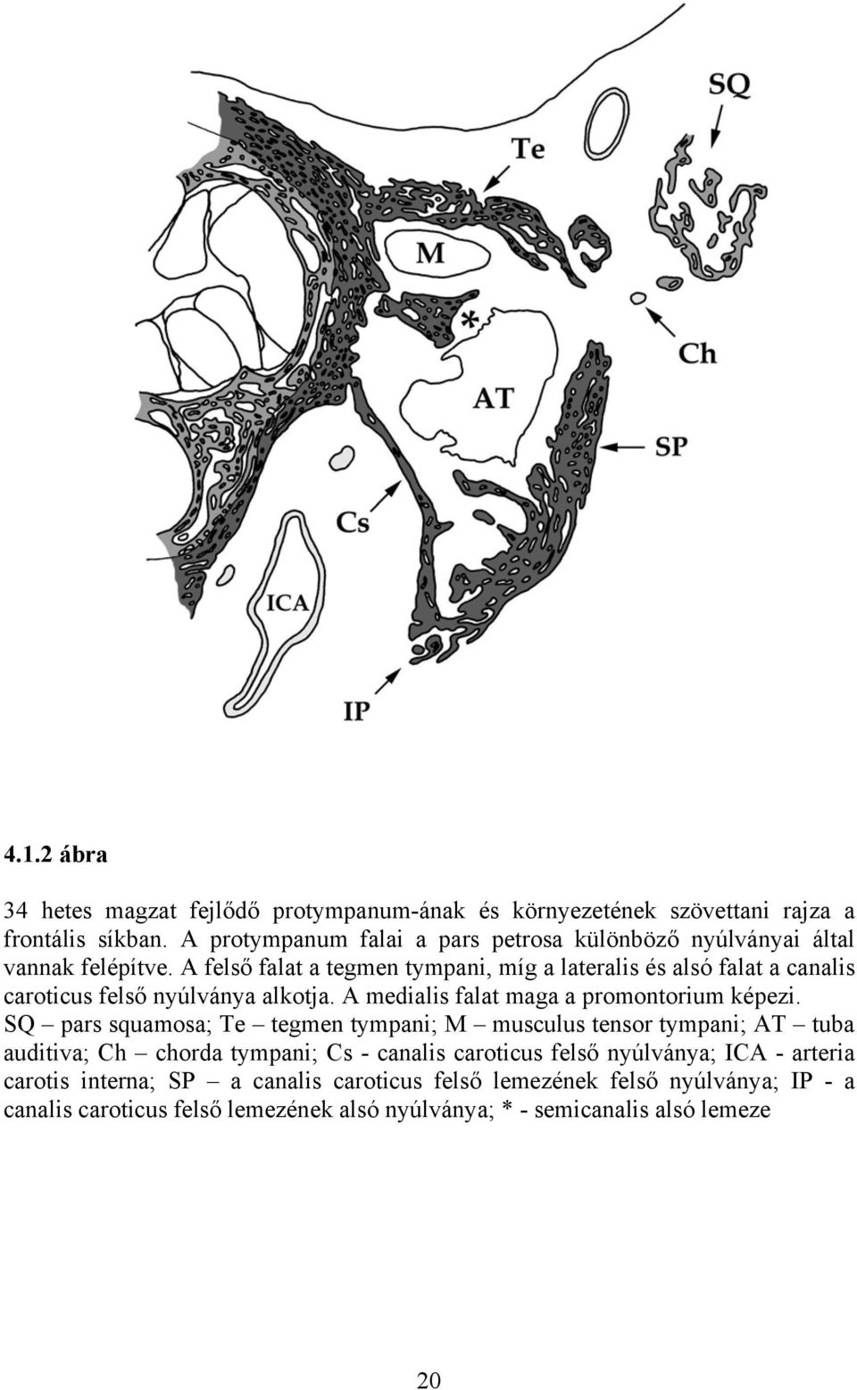 A felső falat a tegmen tympani, míg a lateralis és alsó falat a canalis caroticus felső nyúlványa alkotja. A medialis falat maga a promontorium képezi.