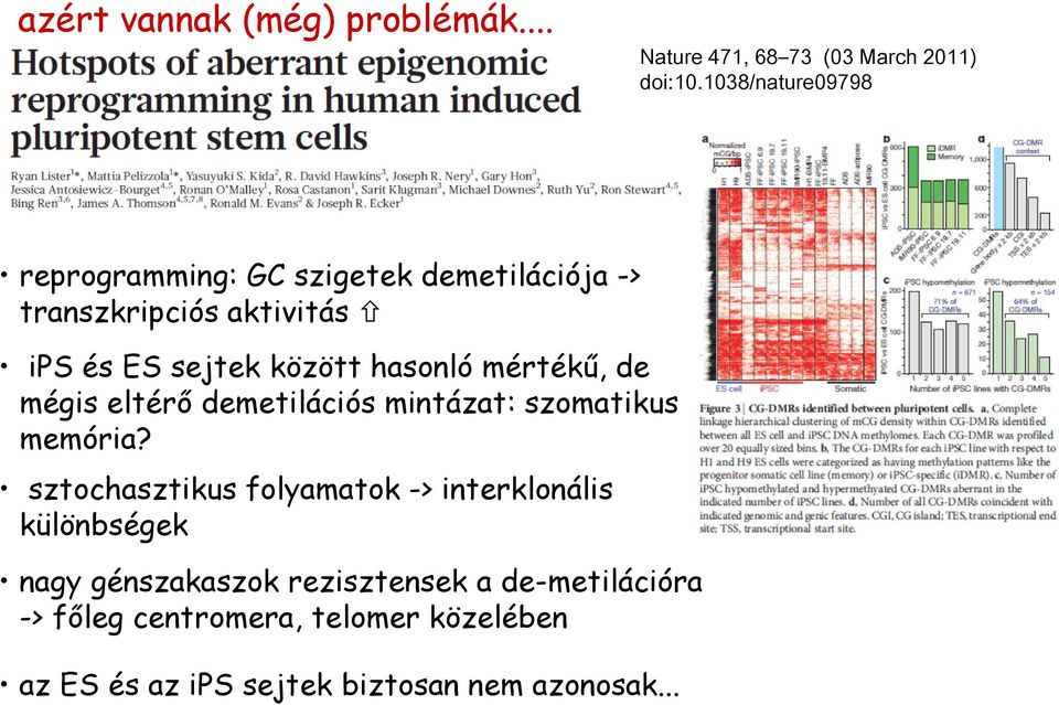 hasonló mértékű, de mégis eltérő demetilációs mintázat: szomatikus memória?