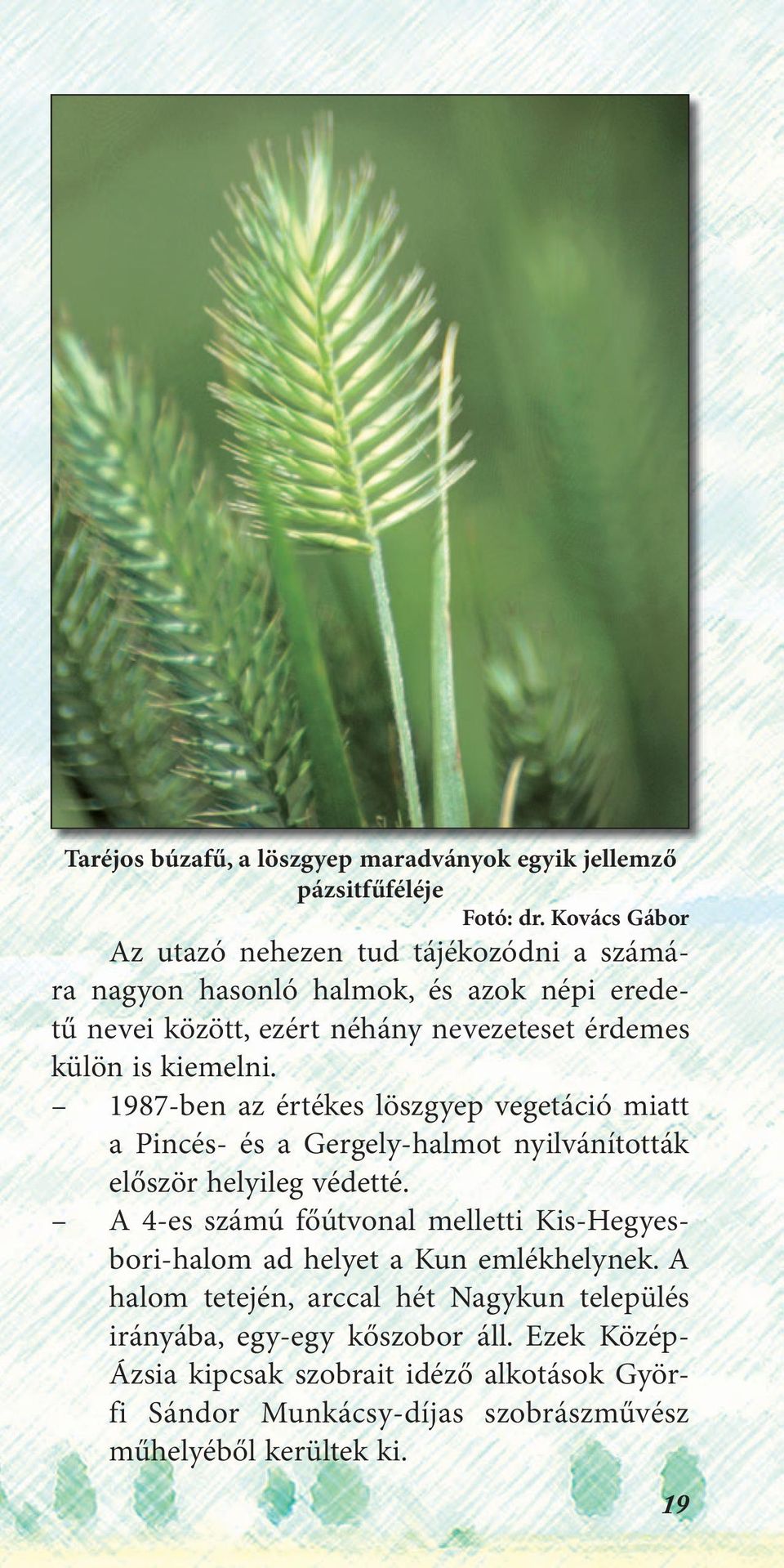 kiemelni. 1987-ben az értékes löszgyep vegetáció miatt a Pincés- és a Gergely-halmot nyilvánították először helyileg védetté.