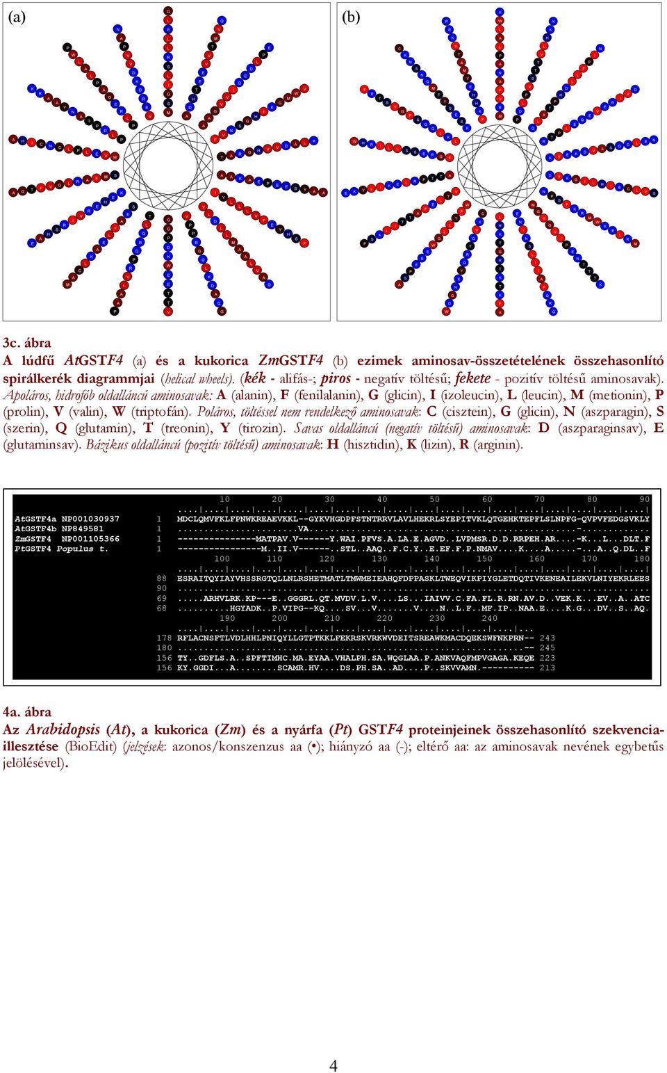 poláros, hidrofób oldalláncú aminosavak: (alanin), (fenilalanin), (glicin), (izoleucin), (leucin), (metionin), (prolin), (valin), (triptofán).