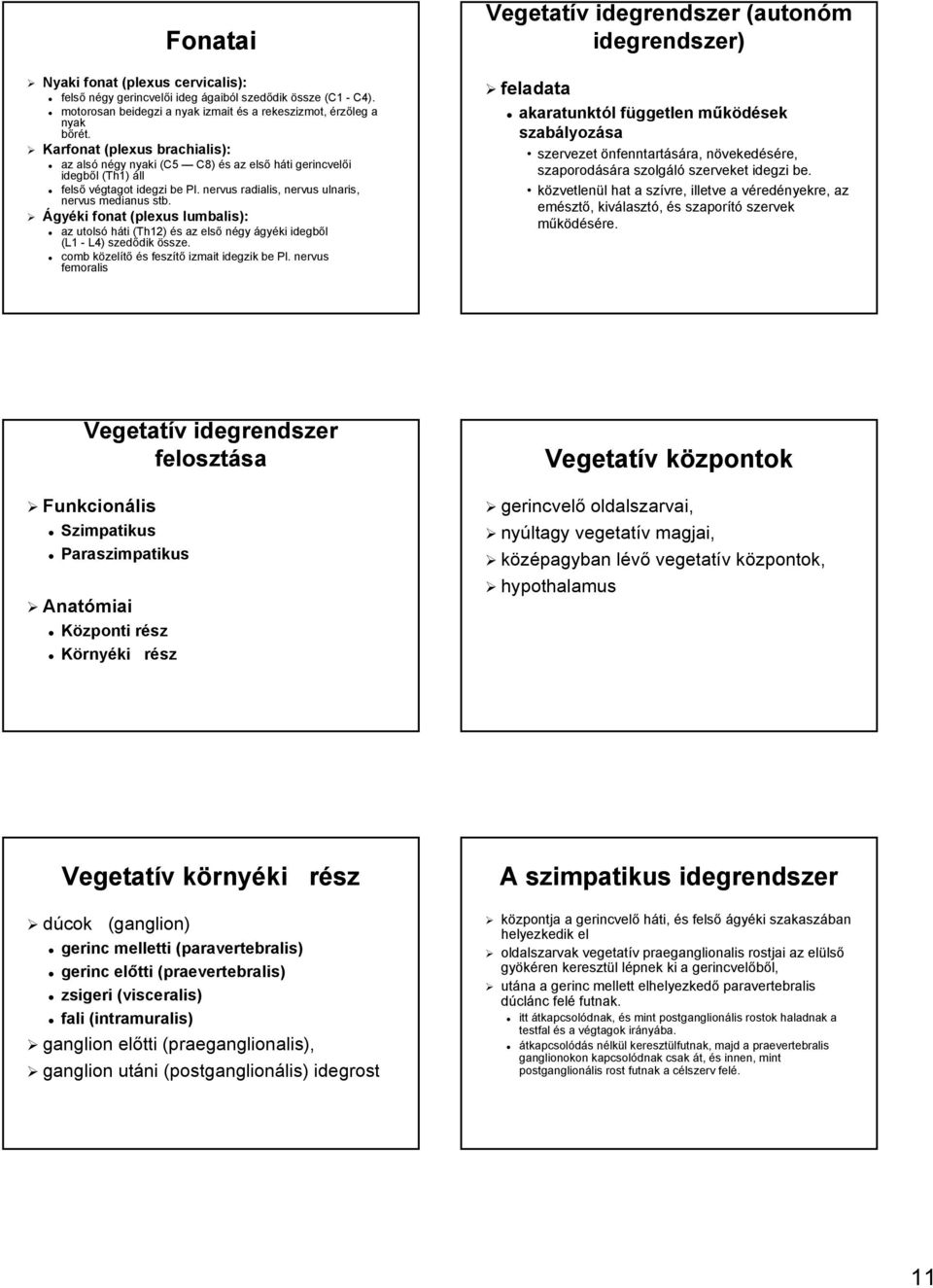 Ágyéki fonat (plexus lumbalis): az utolsó háti (Th12) és s az első négy ágyéki idegből (L1 - L4) szedődik dik össze. comb közelk zelítő és s feszítő izmait idegzik be Pl.