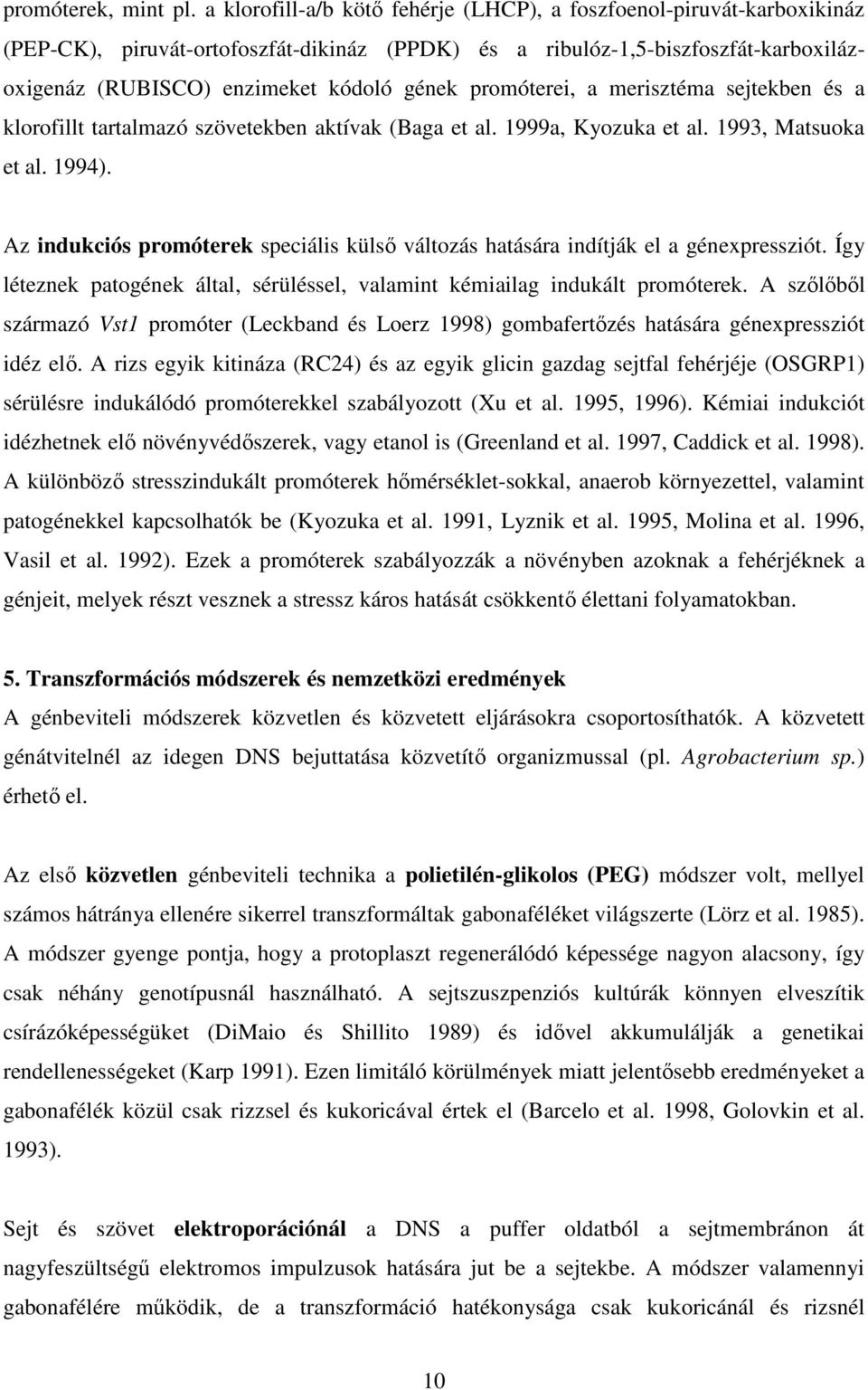 promóterei, a merisztéma sejtekben és a klorofillt tartalmazó szövetekben aktívak (Baga et al. 1999a, Kyozuka et al. 1993, Matsuoka et al. 1994).