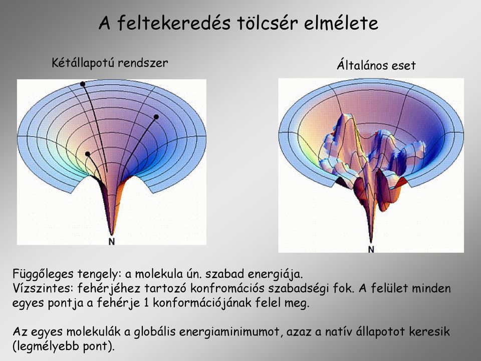 Vízszintes: fehérjéhez tartozó konfromációs szabadségi fok.