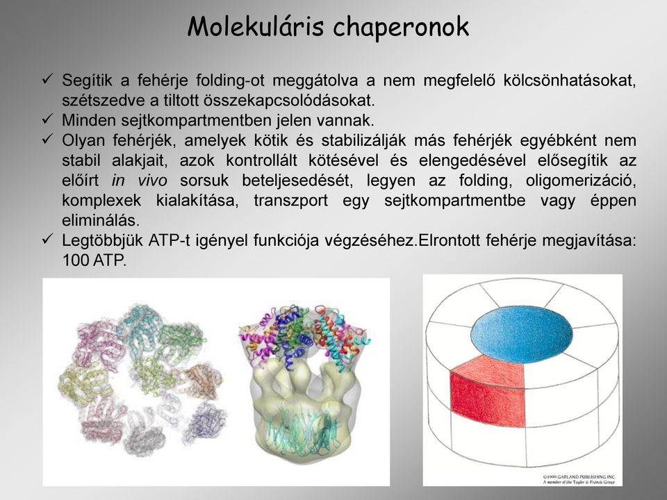 Olyan fehérjék, amelyek kötik és stabilizálják más fehérjék egyébként nem stabil alakjait, azok kontrollált kötésével és elengedésével