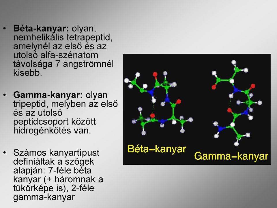 Gamma-kanyar: olyan tripeptid, melyben az első és az utolsó peptidcsoport között