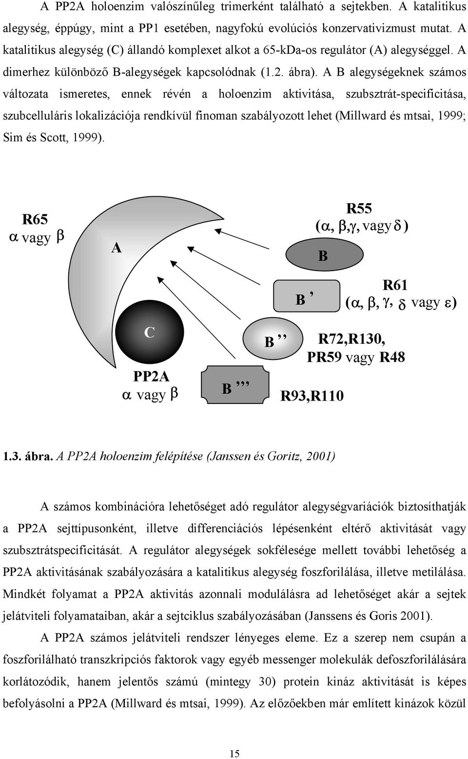 A B alegységeknek számos változata ismeretes, ennek révén a holoenzim aktivitása, szubsztrát-specificitása, szubcelluláris lokalizációja rendkívül finoman szabályozott lehet (Millward és mtsai, 1999;