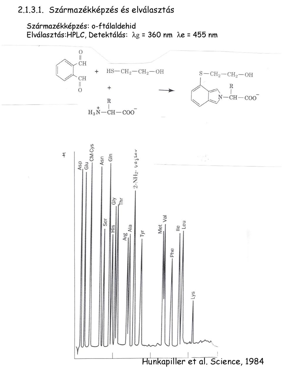 Elválasztás:HPLC, Detektálás: λg = 360