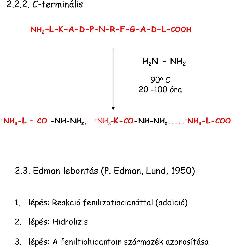 Edman, Lund, 1950) 1. lépés: Reakció fenilizotiocianáttal (addició) 2.