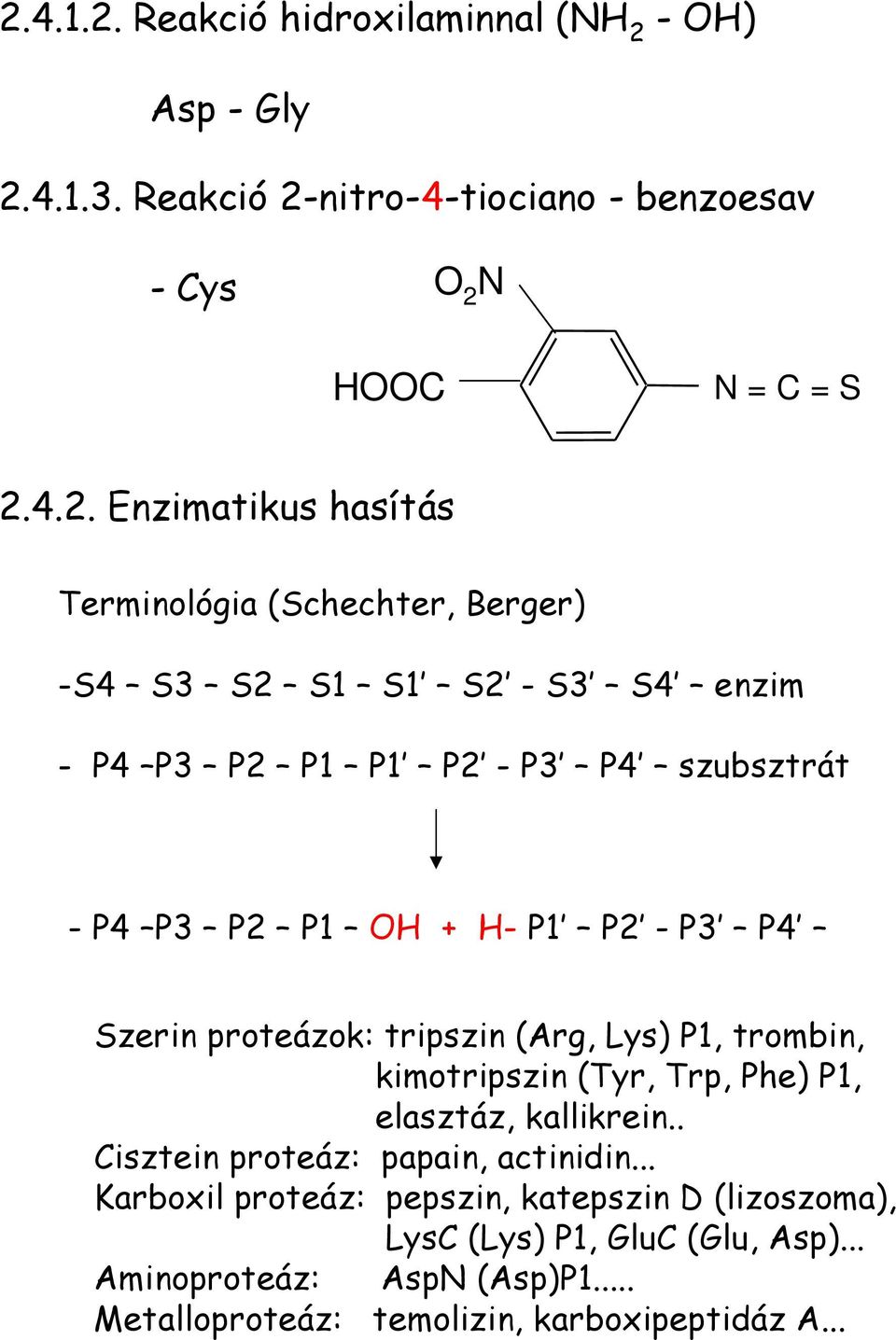 Szerin proteázok: tripszin (Arg, Lys) P1, trombin, kimotripszin (Tyr, Trp, Phe) P1, elasztáz, kallikrein.. Cisztein proteáz: papain, actinidin.