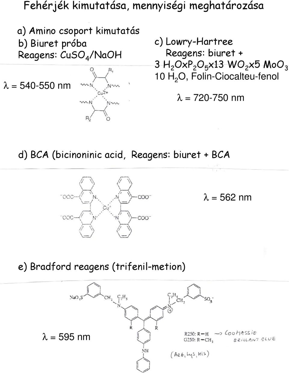 2 O 5 x13 WO 2 x5 MoO 3 10 H 2 O, Folin-Ciocalteu-fenol λ = 720-750 nm d) BCA