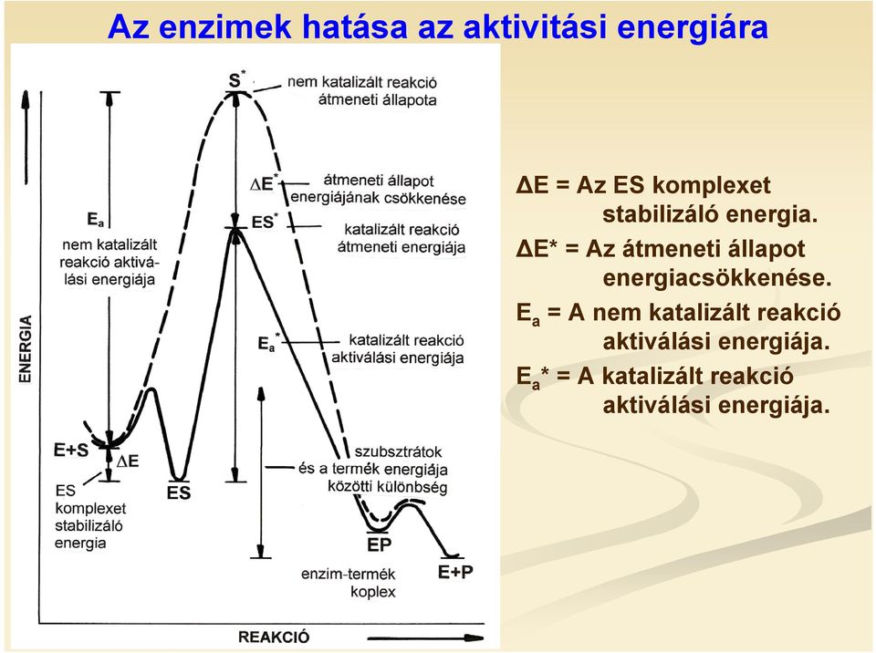ΔE* = Az átmeneti állapot energiacsökkenése.