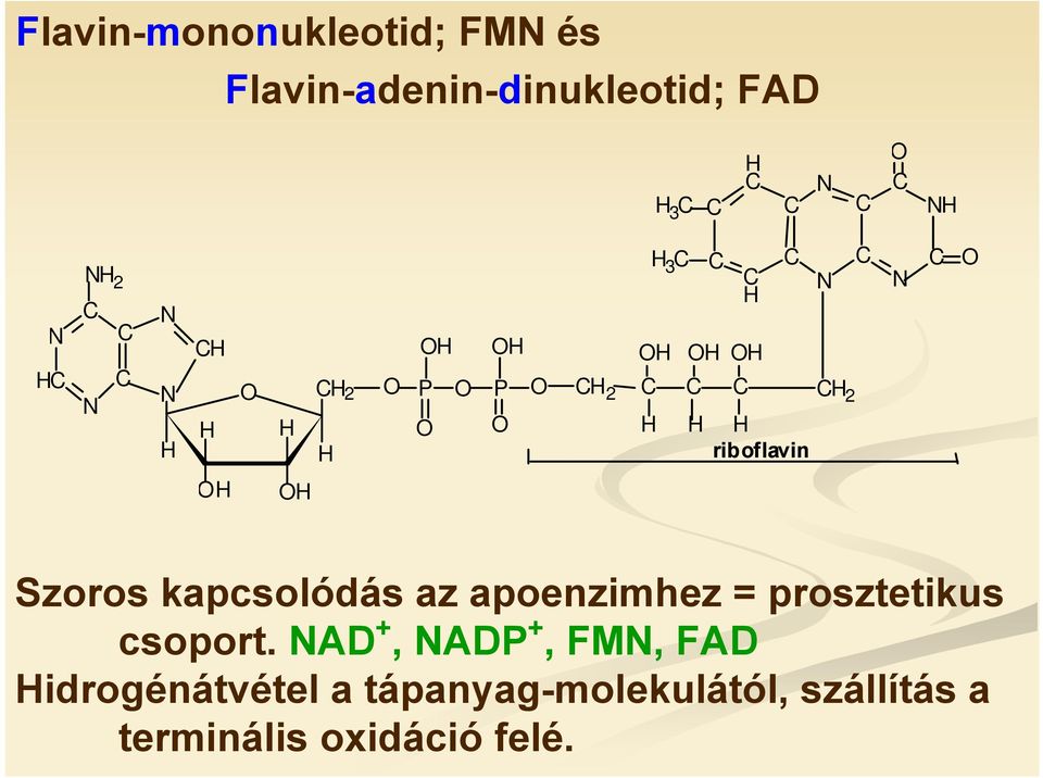 Szoros kapcsolódás az apoenzimhez = prosztetikus csoport.