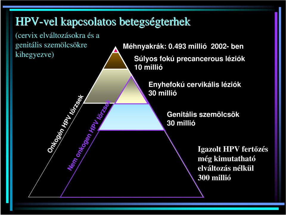 493 millió 2002- ben Súlyos fokú precancerous léziók 10 millió Onkogén HPV törzsek Nem