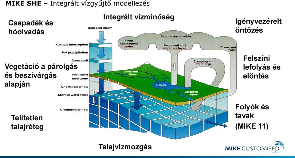 Vegetáció a párolgás és beszivárgás alapján Felszíni