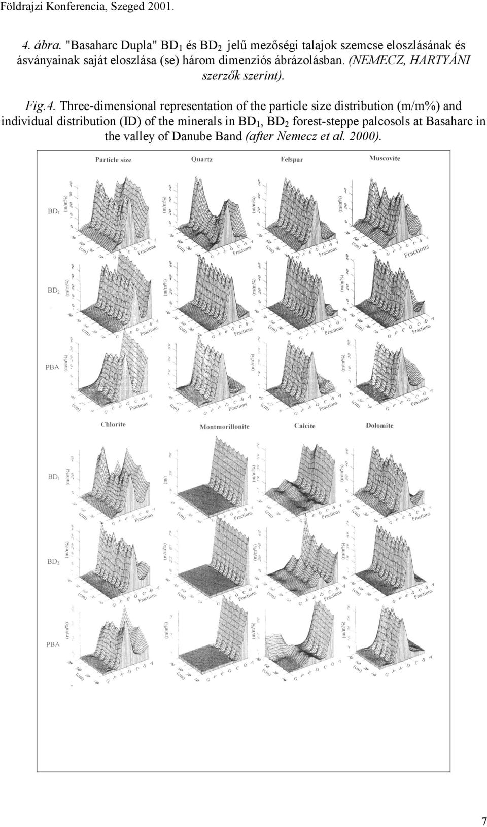 dimenziós ábrázolásban. (NEMECZ, HARTYÁNI szerzők szerint). Fig.4.