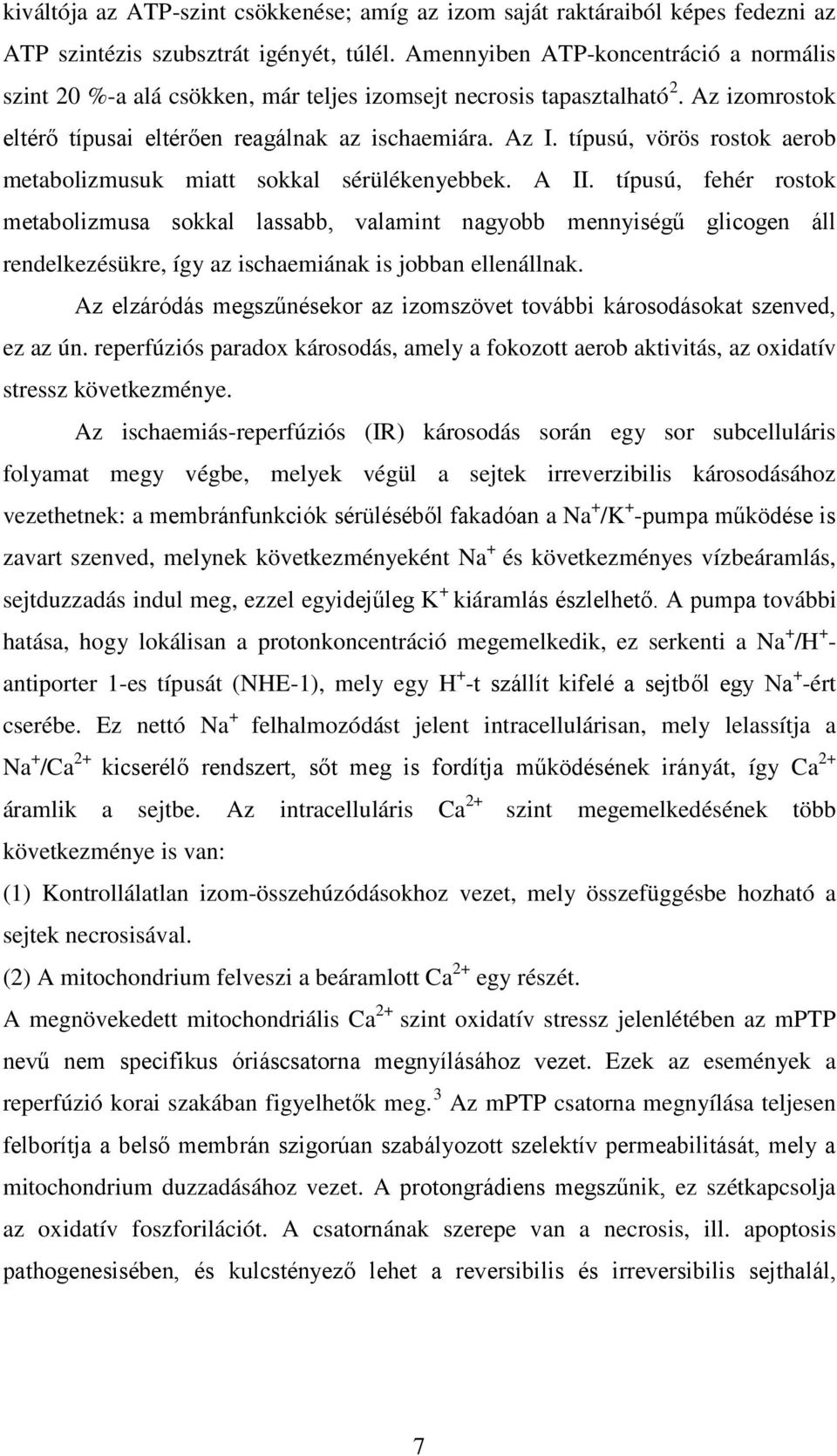 típusú, vörös rostok aerob metabolizmusuk miatt sokkal sérülékenyebbek. A II.