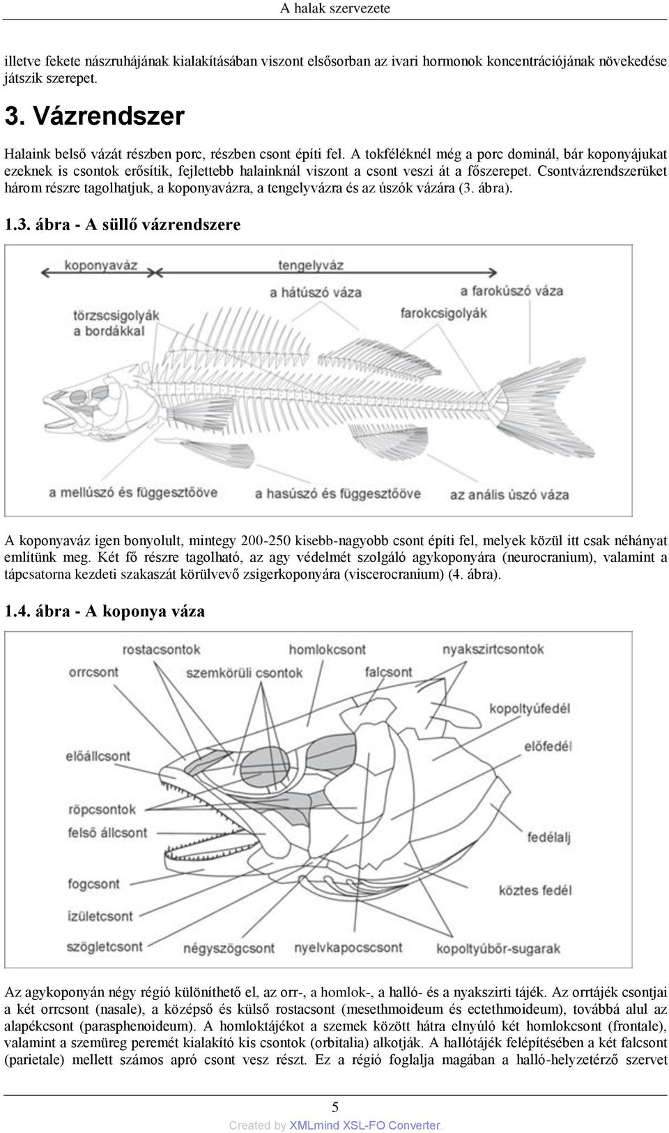 A tokféléknél még a porc dominál, bár koponyájukat ezeknek is csontok erősítik, fejlettebb halainknál viszont a csont veszi át a főszerepet.