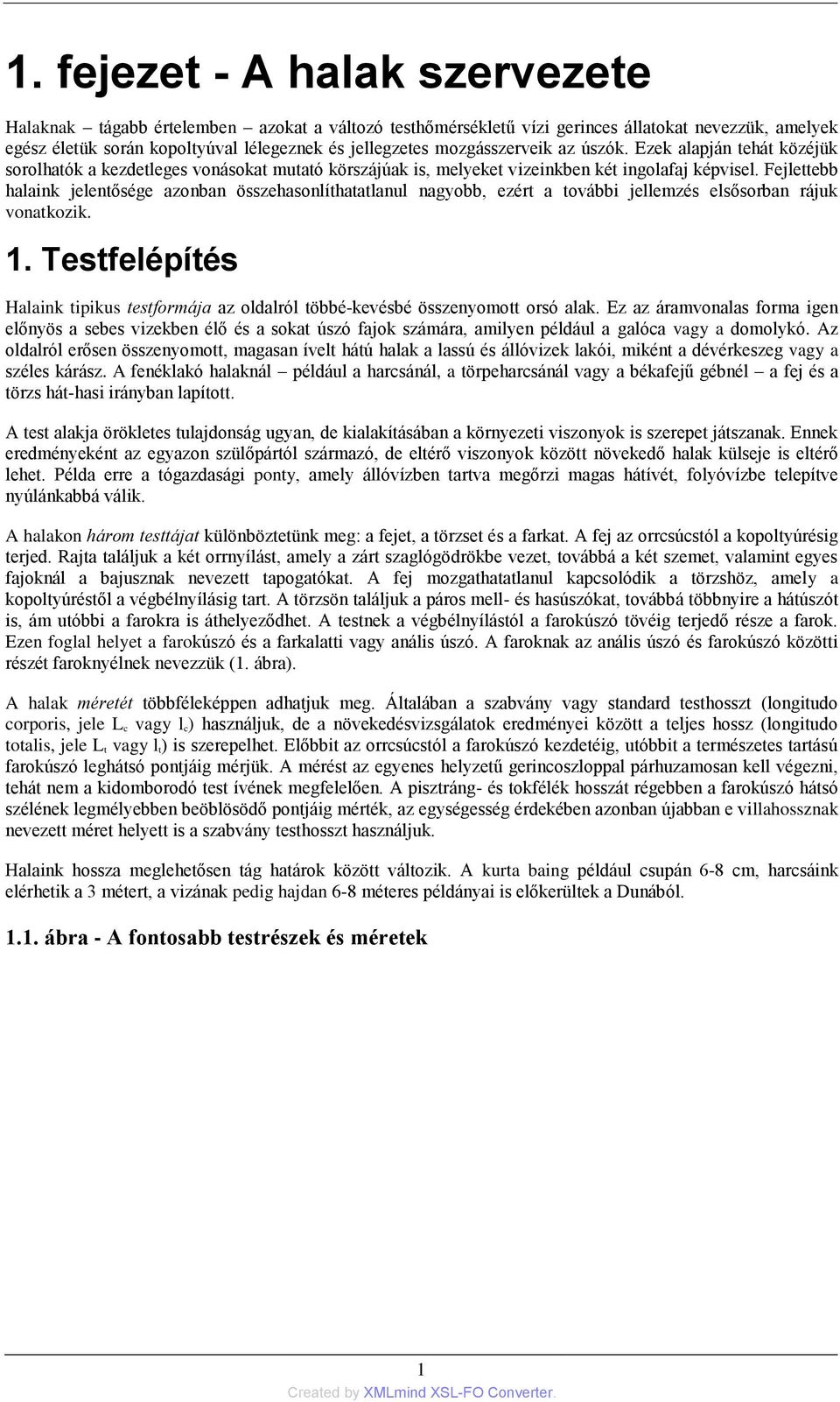 Fejlettebb halaink jelentősége azonban összehasonlíthatatlanul nagyobb, ezért a további jellemzés elsősorban rájuk vonatkozik. 1.