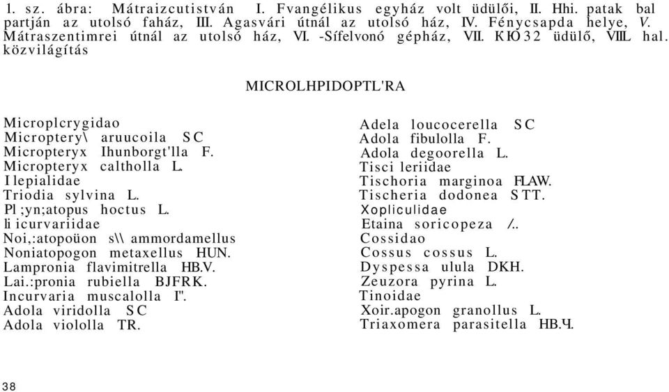 Micropteryx caltholla L. I lepialidae Triodia sylvina L. Pl ;yn;atopus hoctus L. li icurvariidae Noi,:atopoüon s\\ ammordamellus Noniatopogon metaxellus HUN. Lampronia flavimitrella HB.V. Lai.