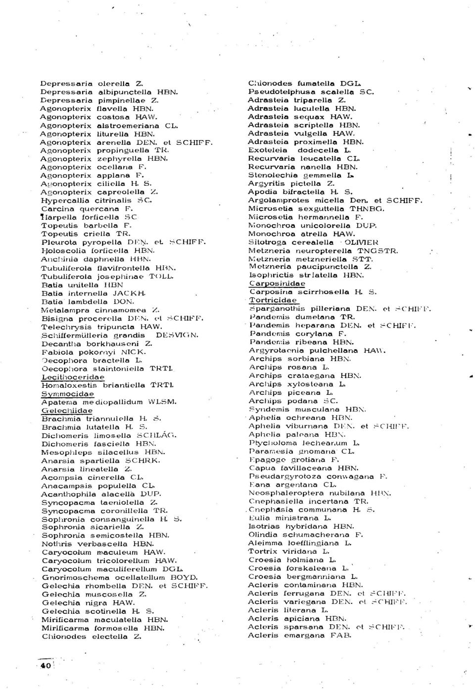 Hypercallia citrinalis SC. Carcina quercana F. llarpella foriicella SC Topeutis barbella F. Topeutis criella TR. Pleurota pyropella DEN. et SCHIFF. Holoscolia foriicella HBN. Anc'iinia daphnella HBN.