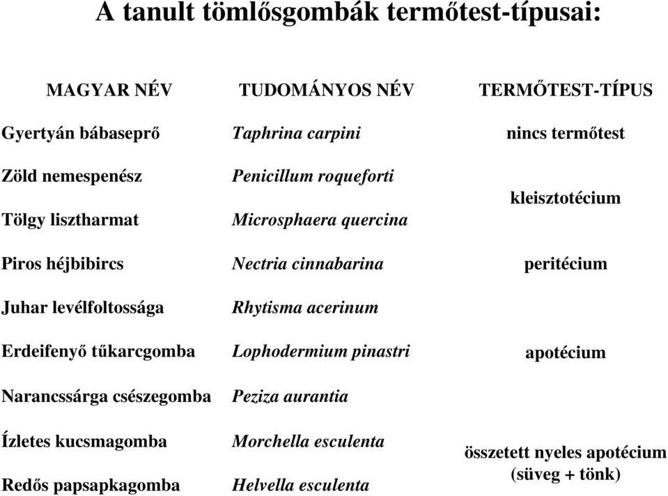 papsapkagomba Taphrina carpini Penicillum roqueforti Microsphaera quercina Nectria cinnabarina Rhytisma acerinum Lophodermium