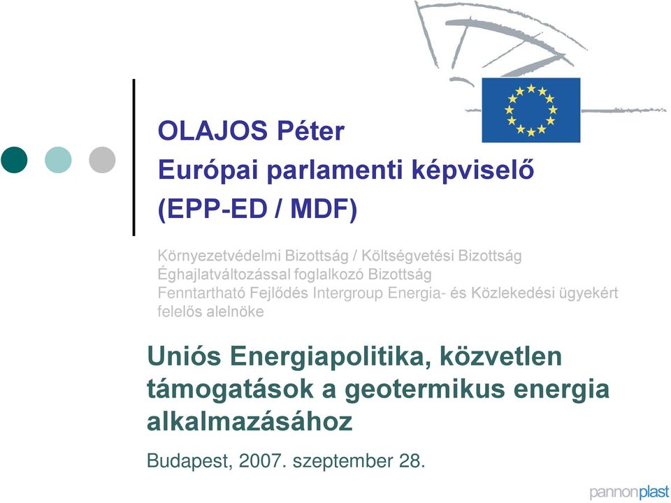 Intergroup Energia- és Közlekedési ügyekért felelõs alelnöke Uniós Energiapolitika,
