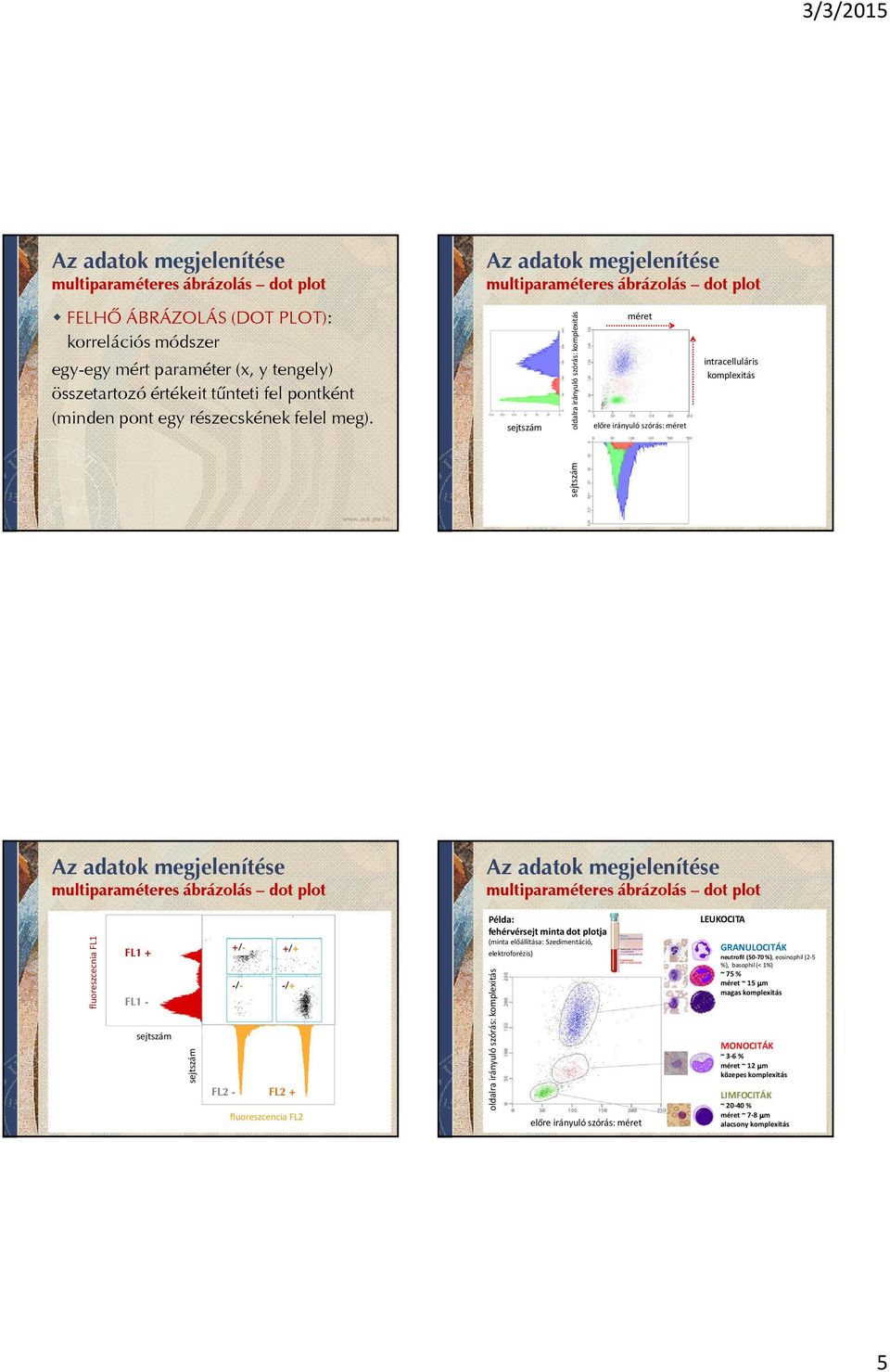 multiparaméteres ábrázolás dot plot oldalra irányuló szórás: komplexitás méret előre irányuló szórás: méret intracelluláris komplexitás multiparaméteres ábrázolás dot plot multiparaméteres ábrázolás