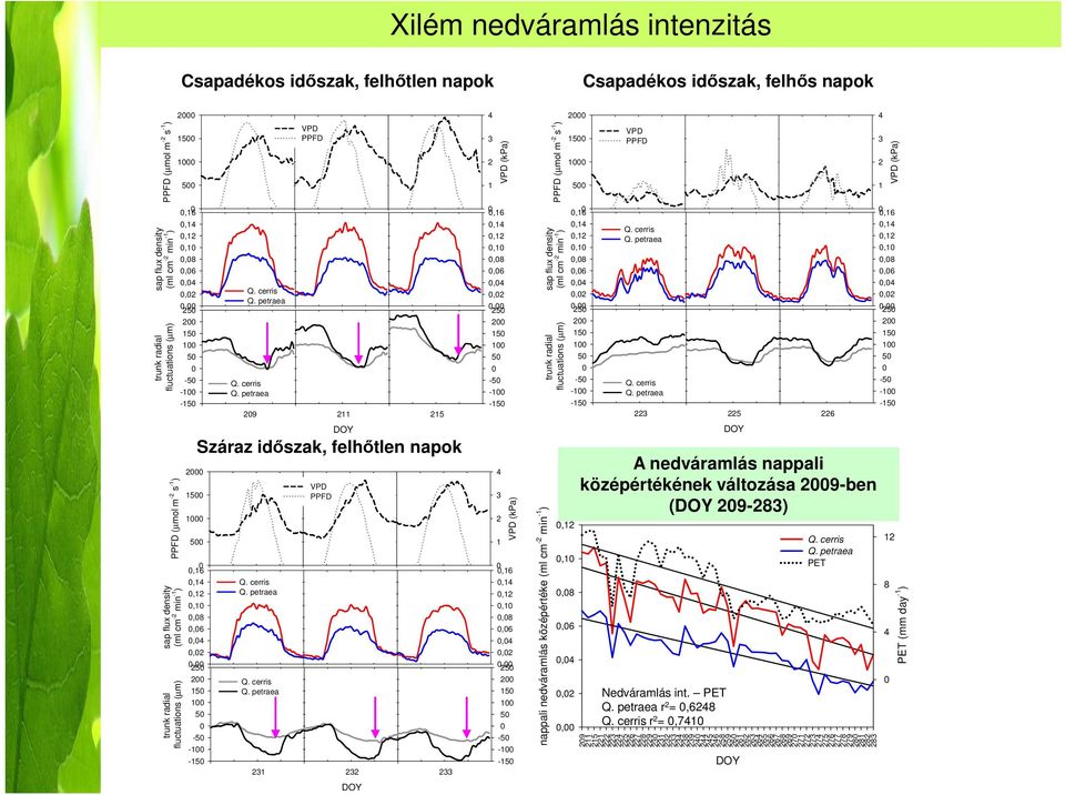 (kpa),16,14,12,1,8,6,4,2, PPFD (µmol m -2 s -1 ) sap flux density (ml cm -2 min -1 ) 25 25 25 2 2 2 15 15 15 1 1 1 5 5 5-5 -1-5 -1-5 -1-15 -15-15 29 211 215 223 225 226 DOY Száraz időszak, felhőtlen