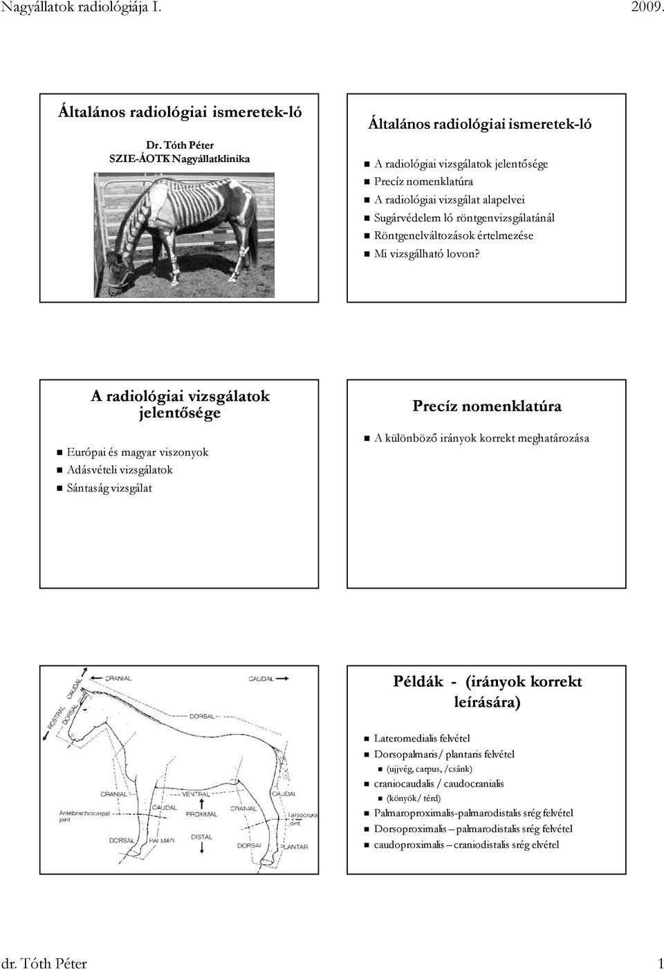 röntgenvizsgálatánál Röntgenelváltozások értelmezése Mi vizsgálható lovon?