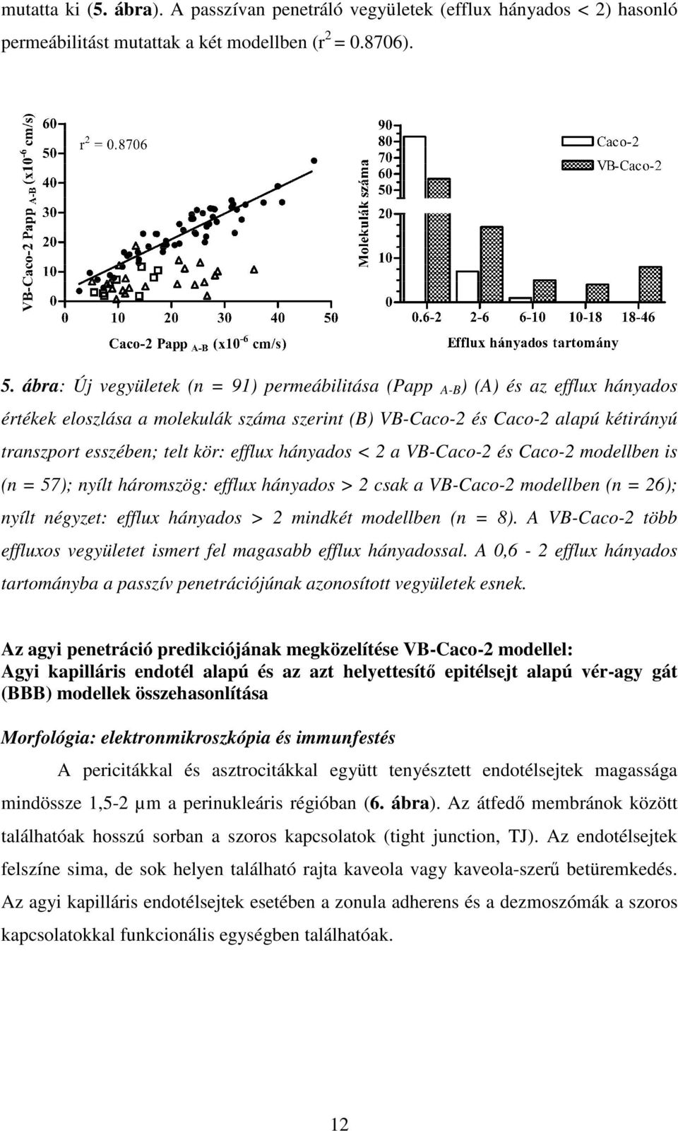 efflux hányados < 2 a VB-Caco-2 és Caco-2 modellben is (n = 57); nyílt háromszög: efflux hányados > 2 csak a VB-Caco-2 modellben (n = 26); nyílt négyzet: efflux hányados > 2 mindkét modellben (n = 8).