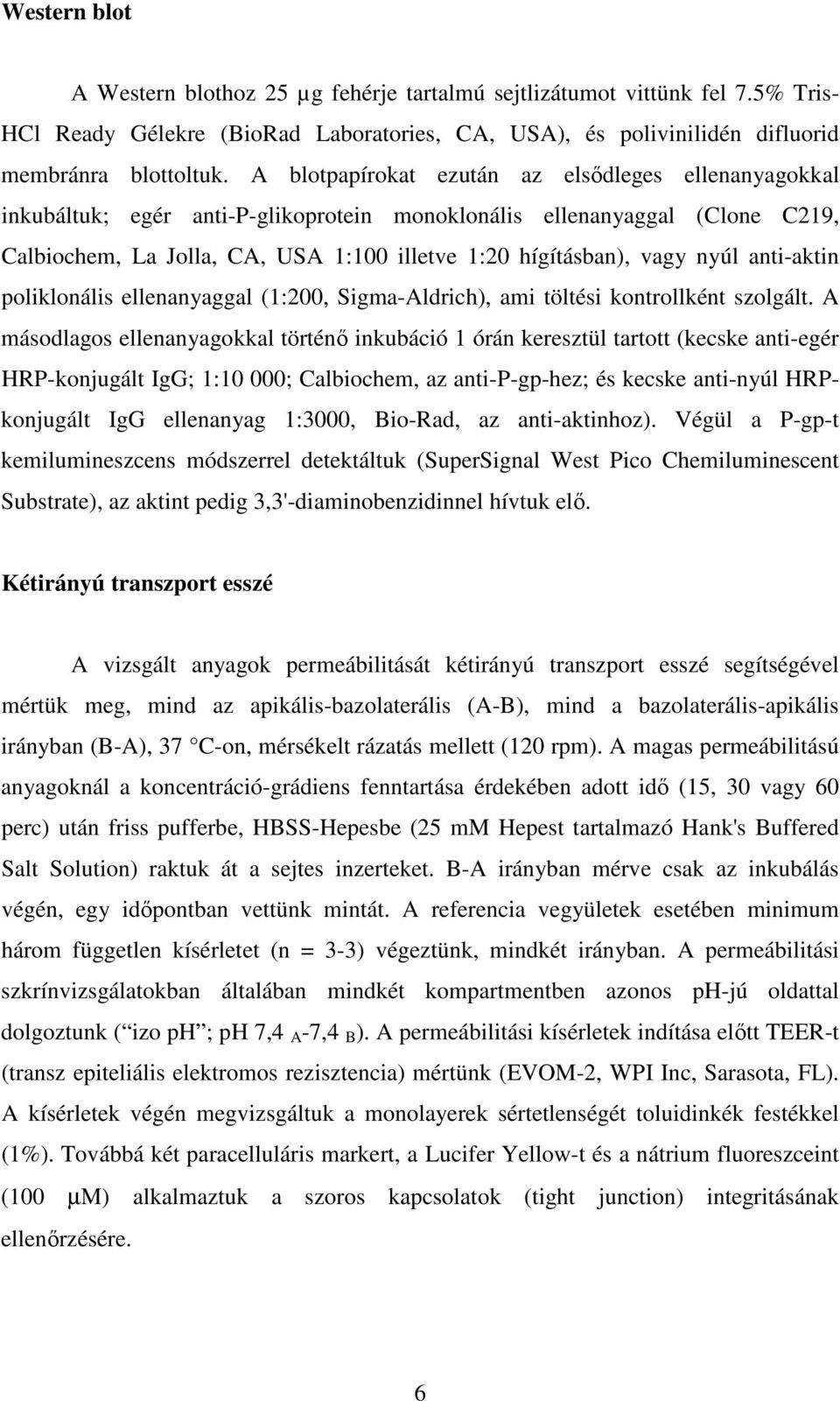 nyúl anti-aktin poliklonális ellenanyaggal (1:200, Sigma-Aldrich), ami töltési kontrollként szolgált.